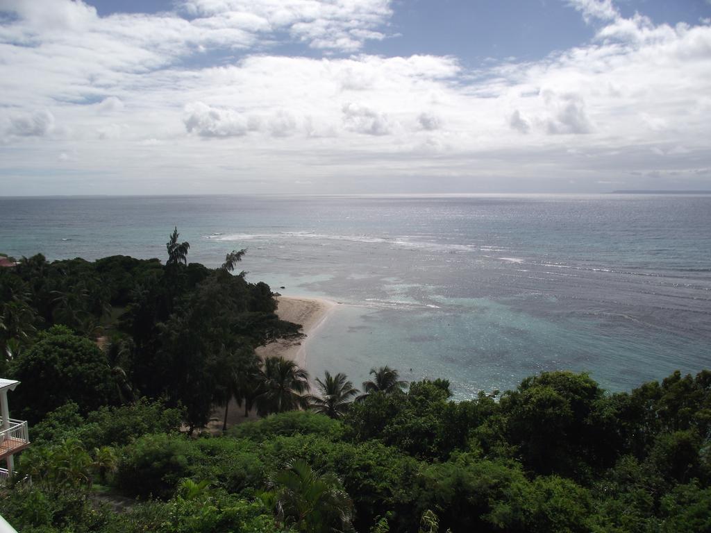 L'Oiseau Du Paradis Vue Mer Studio A Saint Francois A 100 M De La Plage Εξωτερικό φωτογραφία
